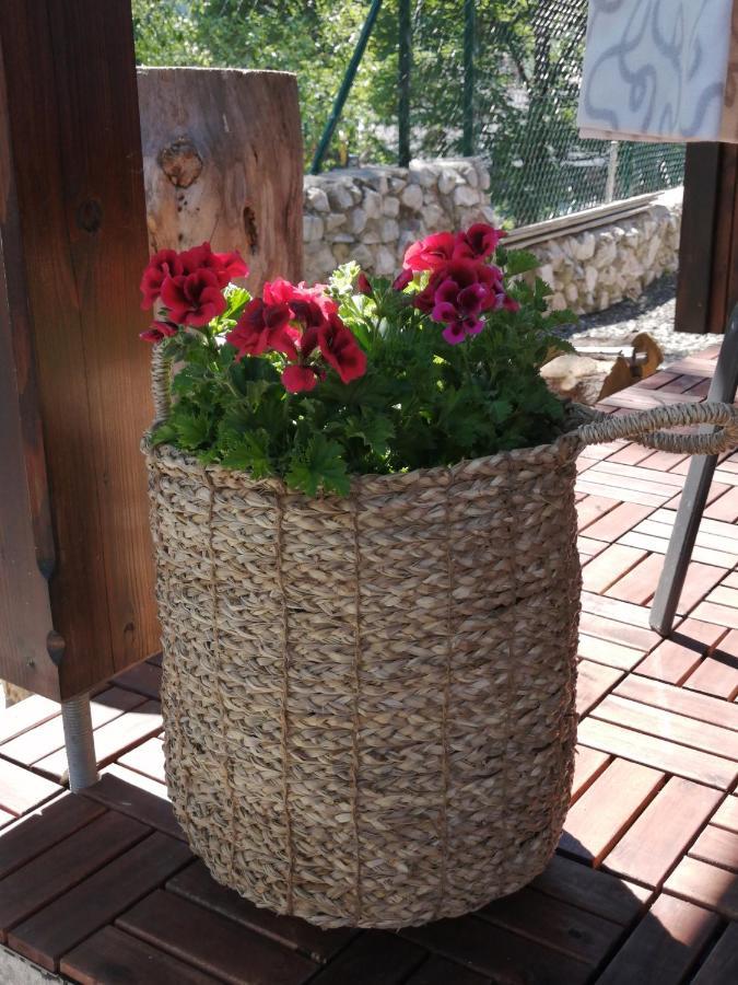 Holiday home Krkonose Cerny Dul